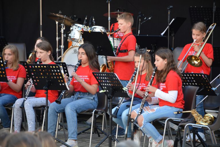 Mehr über den Artikel erfahren Hölty-Musikerinnen und -Musiker begeistern auf traditionellem Sommerkonzert