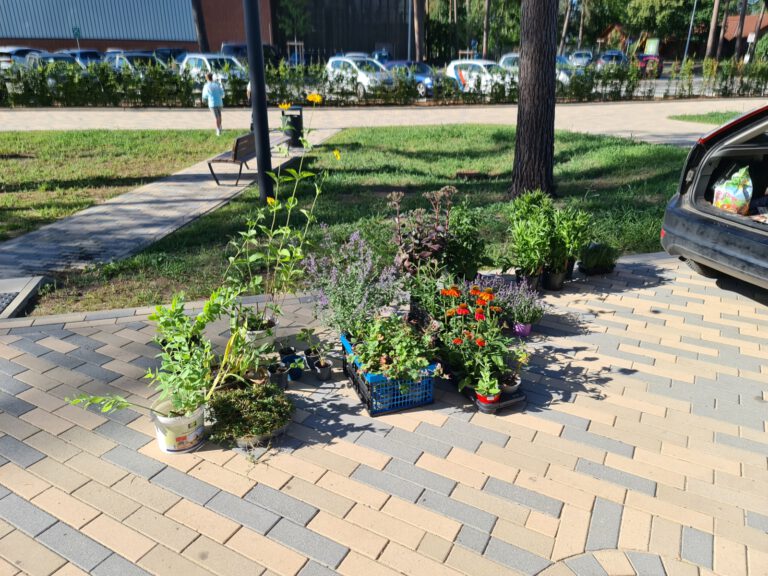 Mehr über den Artikel erfahren Die Schulgarten-AG stellt sich vor