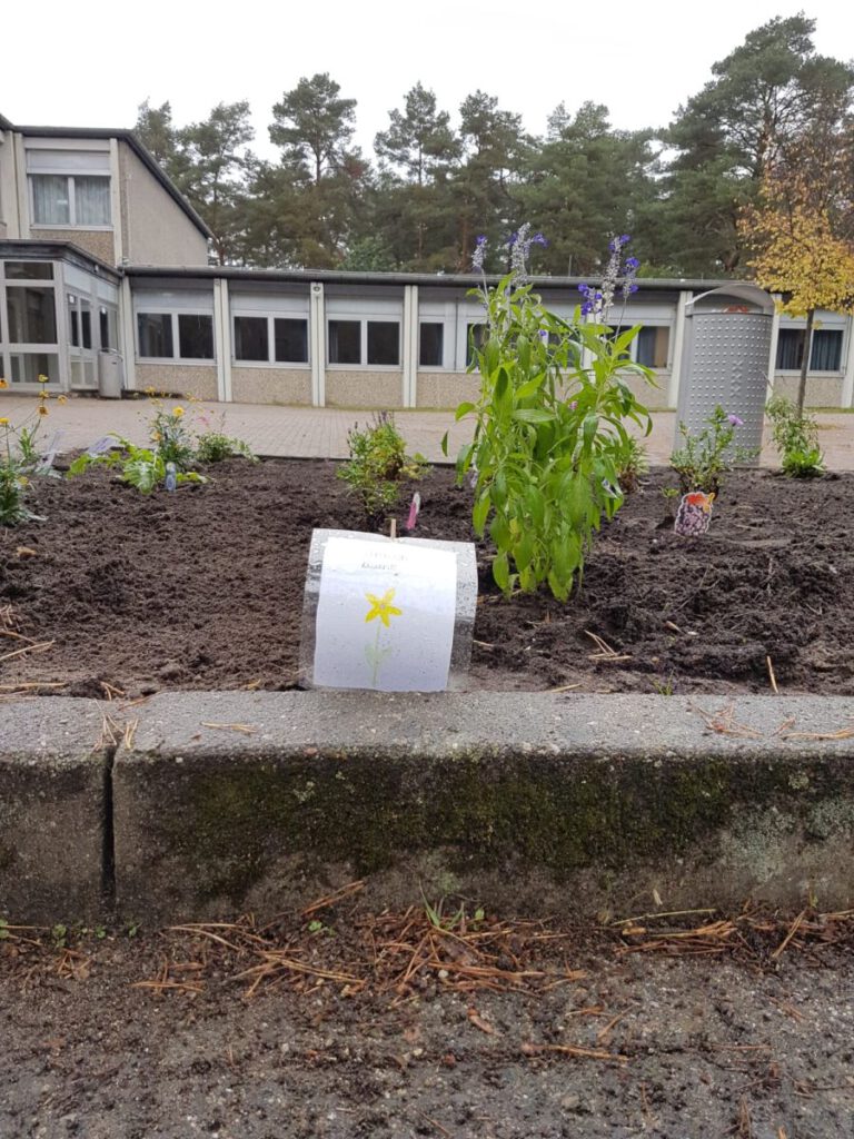Mehr über den Artikel erfahren Blumenbeete für Hambühren