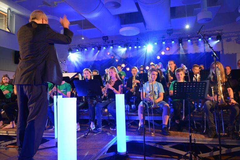 Mehr über den Artikel erfahren Aaand ACTION: Sommerkonzert am Hölty