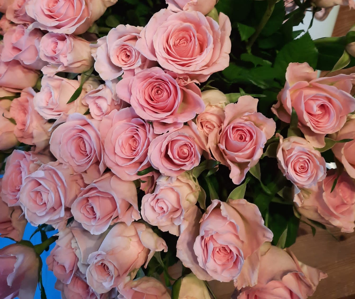 Du betrachtest gerade Valentinstag am Hölty