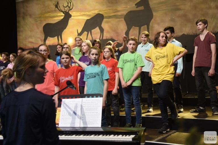 Mehr über den Artikel erfahren Auftritt der Vokalini beim Volksliederfestival  in der CD-Kaserne